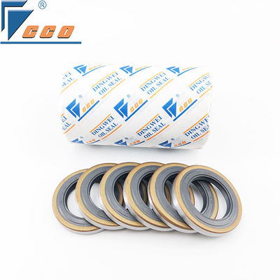 comprar Retén de aceite de esqueleto de doble labio FKM resistente a altas temperaturas hasta 250°C online manufacture